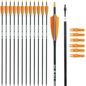 30 Carbon Arrows for Archery Target Practice Hunting