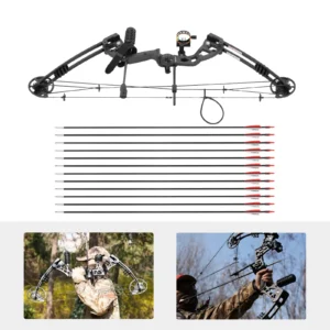 Compound Bow Arrow Set Right Hand